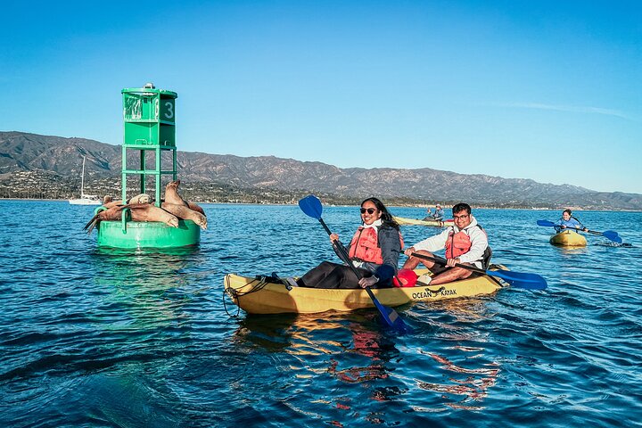 Wildlife Kayak Tour em Porto de Santa Barbara (2 horas)