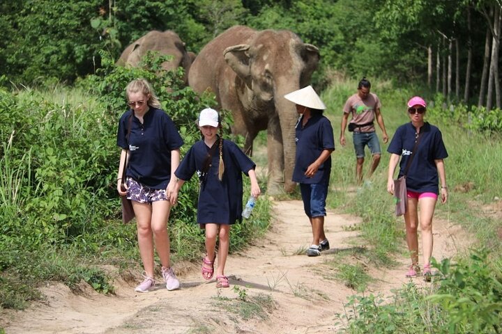 Koh Samui : Elephant Nature Care, il più grande santuario degli elefanti