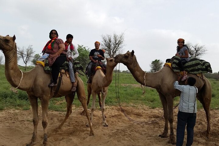 Desert Camel Safari & Jeep Safari Tour fra Jodhpur