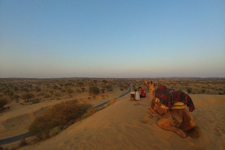 Desert Camel Safari & Jeep Safari Tour fra Jodhpur
