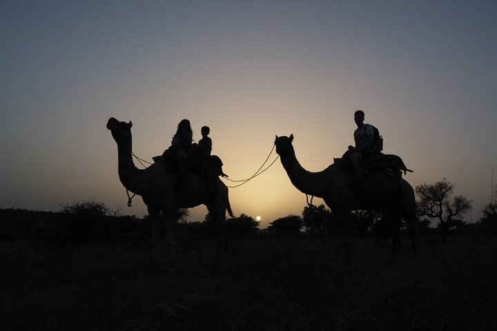 Desert Camel Safari & Jeep Safari Tour fra Jodhpur