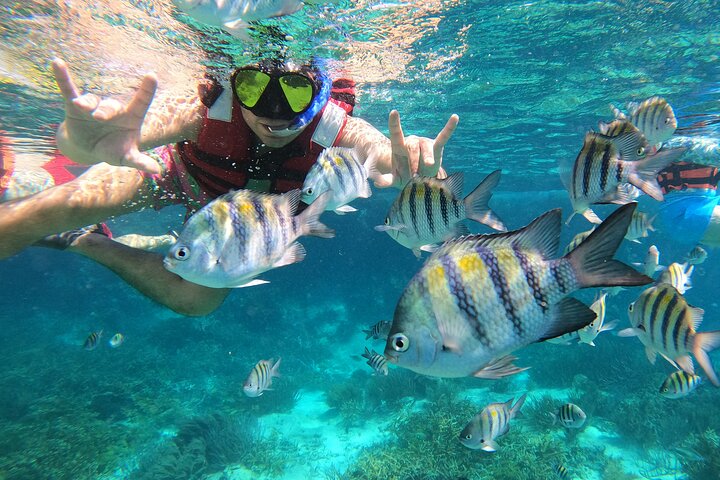 Tour semiprivato VIP di 3 ore Isla Mujeres Esperienza di snorkeling completa