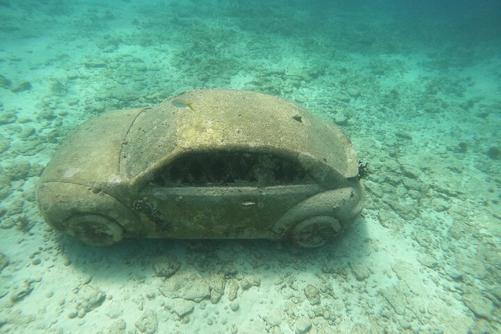 Tour semiprivato VIP di 3 ore Isla Mujeres Esperienza di snorkeling completa