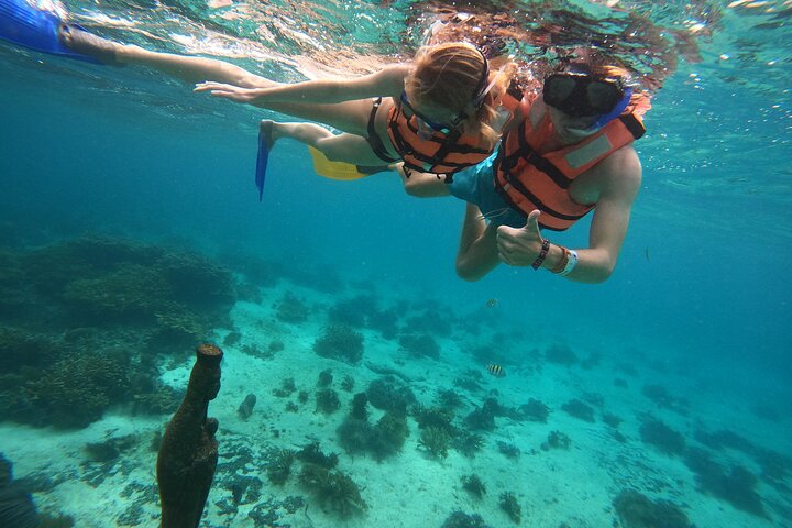 Tour semiprivato VIP di 3 ore Isla Mujeres Esperienza di snorkeling completa