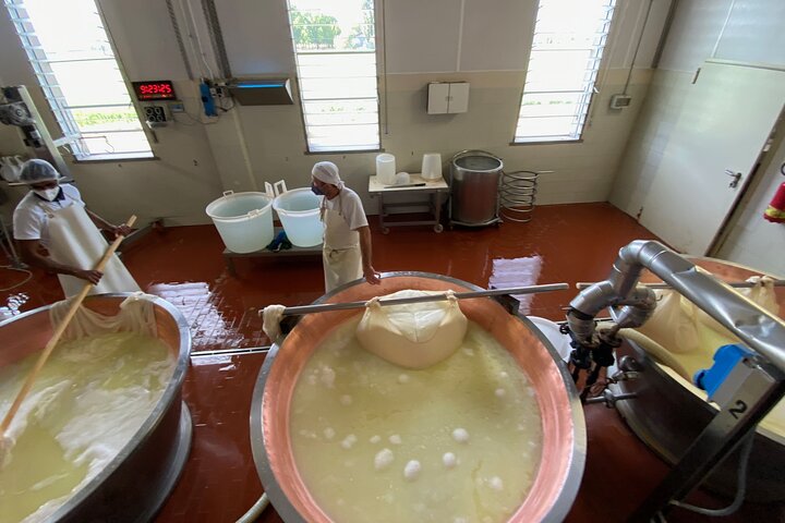 Tour en grupo reducido de Parmigiano-Reggiano y jamón de Parma
