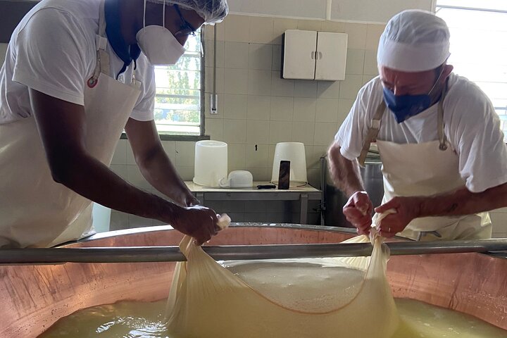 Tour en grupo reducido de Parmigiano-Reggiano y jamón de Parma