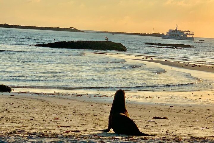 Isabela Island Tour i Galapagos med kajak