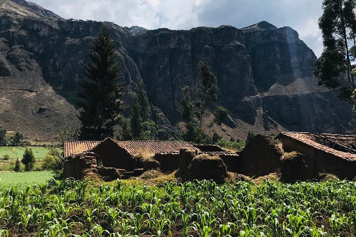 Promenez-vous dans la communauté de Chuquibamba et les cascades de Sirenachayoc (départ de groupe)