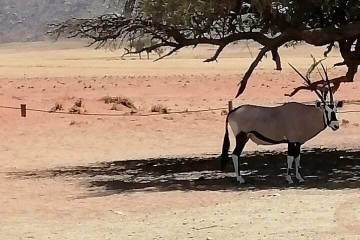 3 Day Scenic Sossusvlei Adventure in Namibia from Swakopmund