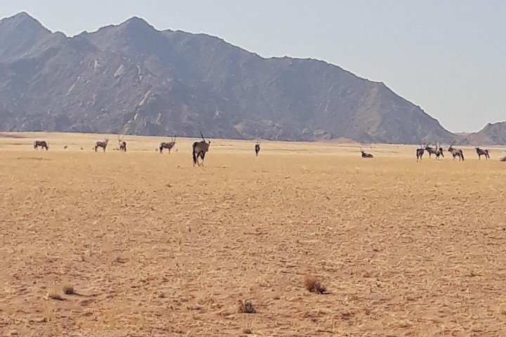 3 Day Scenic Sossusvlei Adventure in Namibia from Swakopmund