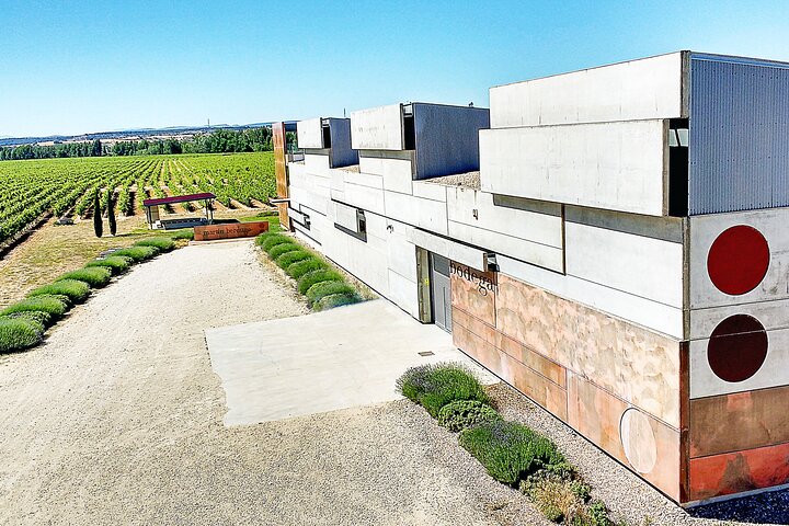 Aranda del Duero : Bezoek aan een wijngaard en wijnproeverij