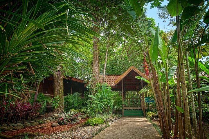 Tortuguero: All Inclusive-pakke 2 netter 3 dager fra San Jose