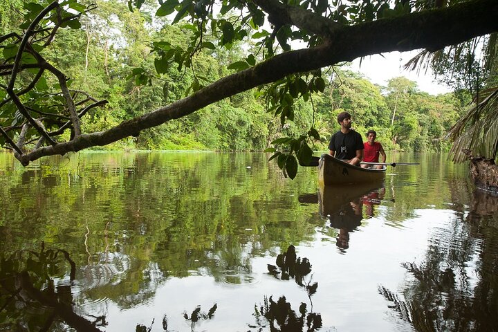 Tortuguero: All Inclusive-pakke 2 netter 3 dager fra San Jose