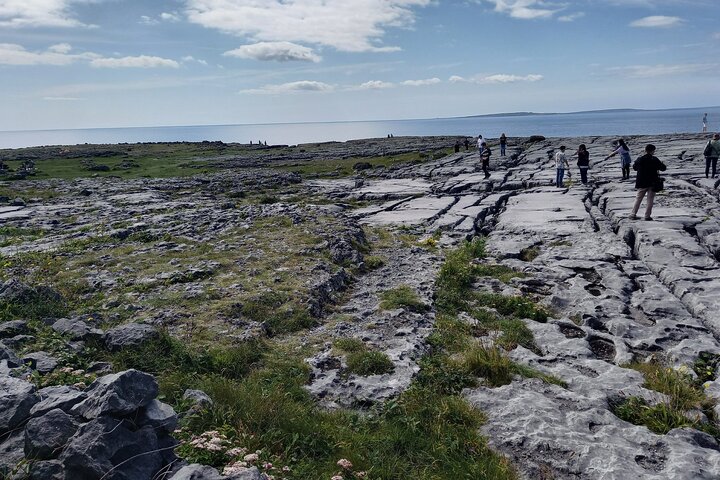 Visite privée des falaises de Moher et du Wild Atlantic Way au départ de Limerick.