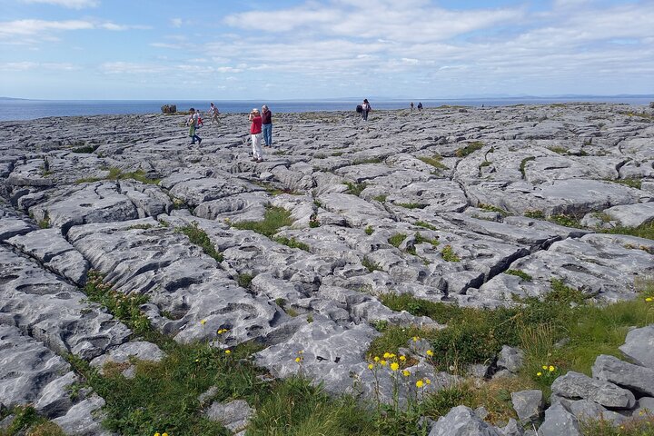 Visite privée des falaises de Moher et du Wild Atlantic Way au départ de Limerick.
