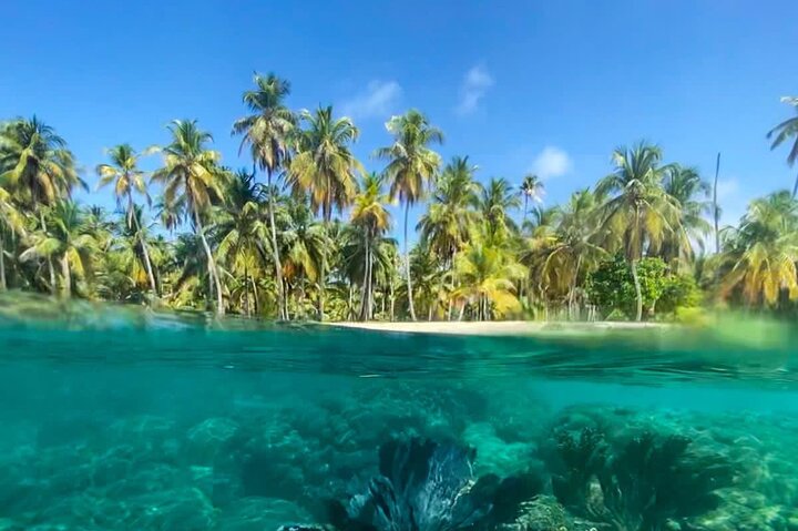 Tour di un giorno alle Isole San Blas in barca a vela