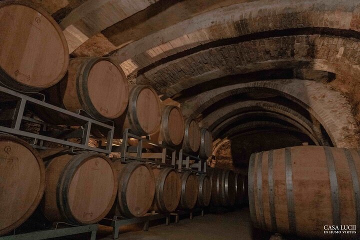 Degustazione di vino e cibo in cantina biologica familiare