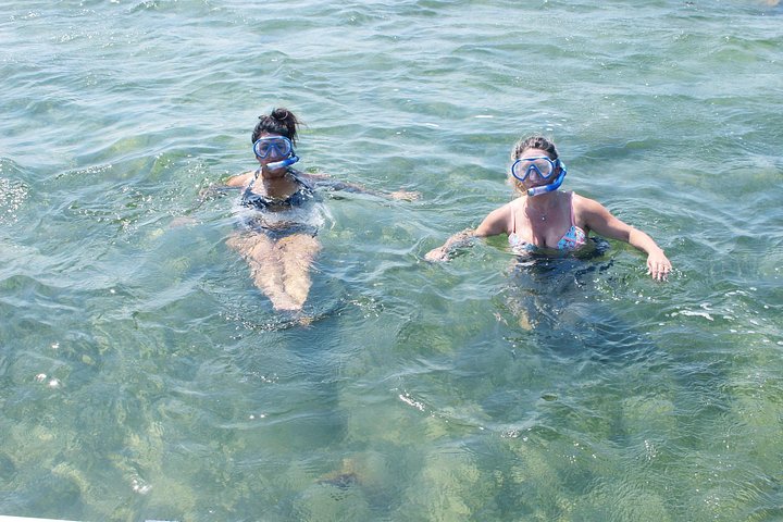 Restauranter i nærheten av North Bay Snorkel - South Padre Island