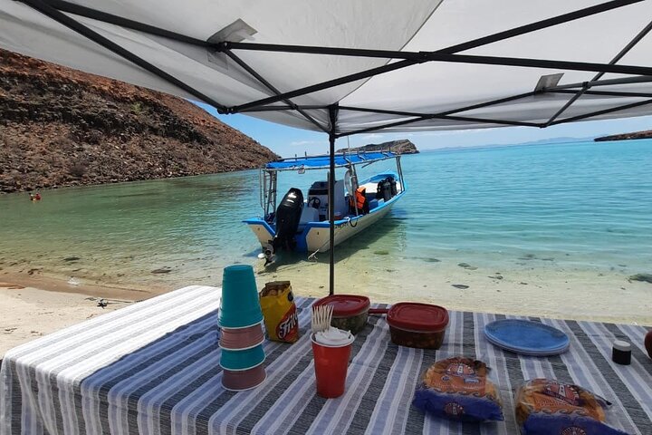 Aventura a Isla Espíritu Santo: Snorkel con Lobos Marinos y Playa