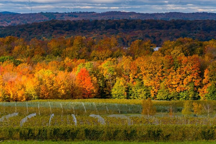 4-uur durende Traverse City Sunset Wine Tour: 3 wijnmakerijen op Old Mission Peninsula
