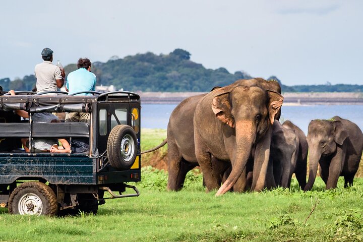 GÅ VILD! Dobbelt Safari-dagstur (Yala & Udawalawe) - Privat & All Inclusive