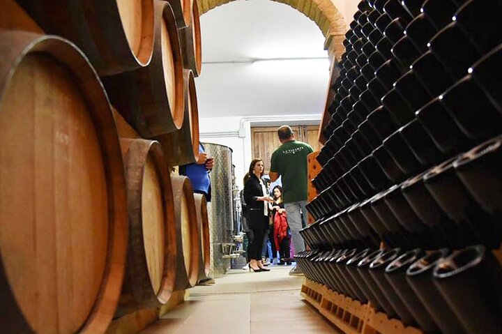 Degustación de Vinos y Visita Guiada al Viñedo y Bodega en S. Maria Imbaro