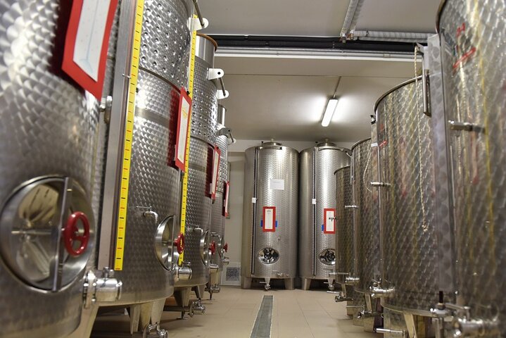 Degustación de Vinos y Visita Guiada al Viñedo y Bodega en S. Maria Imbaro