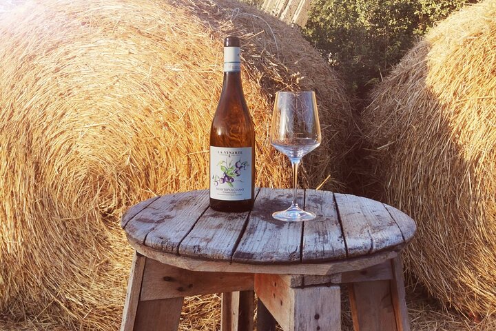 Degustación de Vinos y Visita Guiada al Viñedo y Bodega en S. Maria Imbaro
