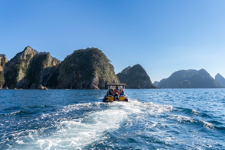 Coromandel äventyr och vilda djur båttur till Aldermen Islands