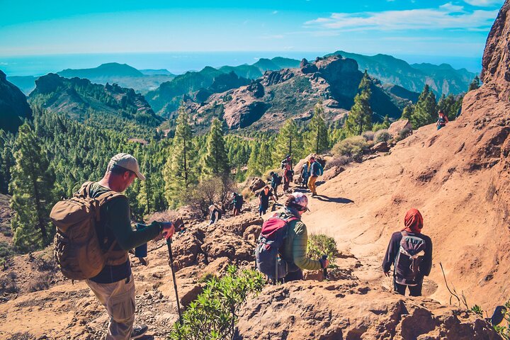 The Volcano Heart Tour: randonnée, dégustation et expérience au coucher du soleil