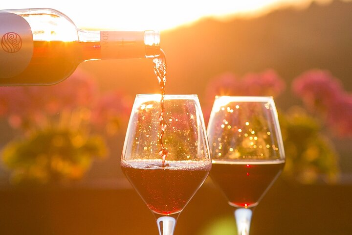 4-uur durende Traverse City Sunset Wine Tour: 3 wijnmakerijen op Old Mission Peninsula