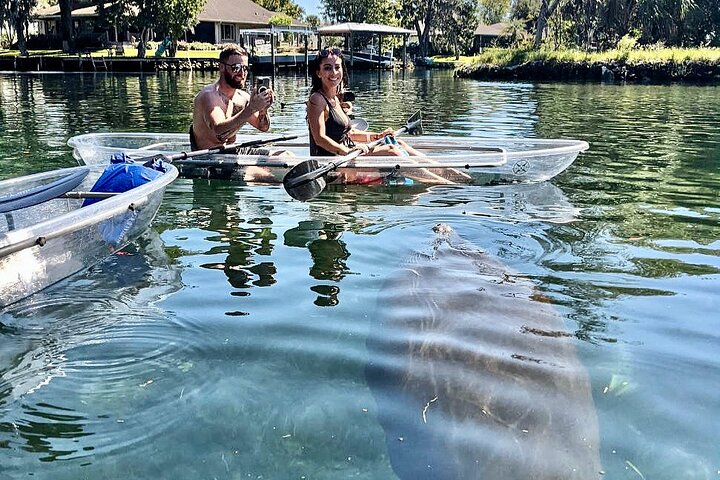 Hoteller i nærheden af Crystal River Clear Kayak Tour: Three Sisters Springs & Manatees