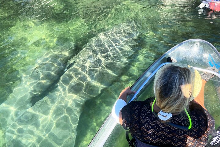Hoteller i nærheden af Crystal River Clear Kayak Tour: Three Sisters Springs & Manatees