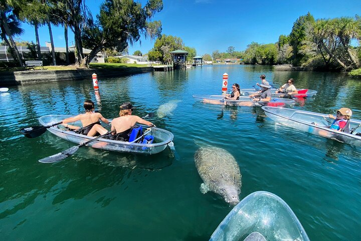 Hoteller i nærheden af Crystal River Clear Kayak Tour: Three Sisters Springs & Manatees
