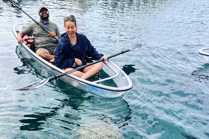 Hoteller i nærheden af Crystal River Clear Kayak Tour: Three Sisters Springs & Manatees