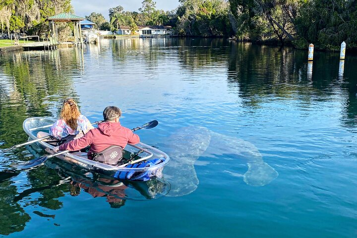 Hoteller i nærheden af Crystal River Clear Kayak Tour: Three Sisters Springs & Manatees