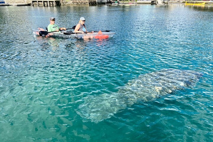 Hoteller i nærheden af Crystal River Clear Kayak Tour: Three Sisters Springs & Manatees