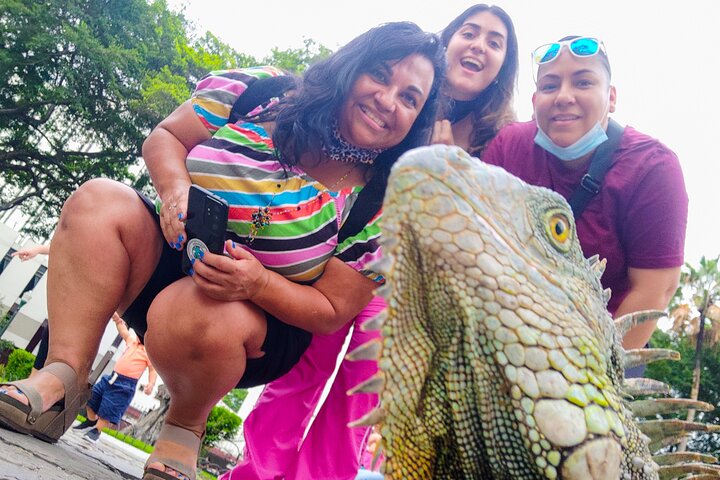 Experiência Privada em Guayaquil - City Tour para Idosos