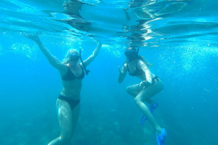 Aventura de mergulho com snorkel em recifes de coral com fotos e vídeos