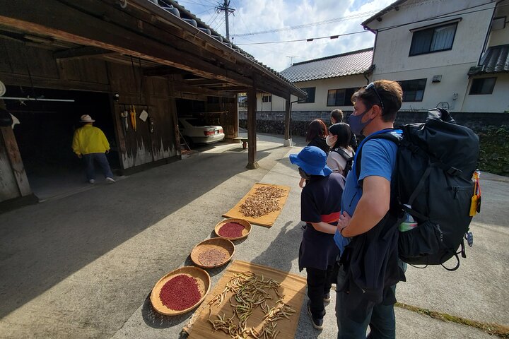Desfrute de uma caminhada, almoço e hora do chá no Teno Farm Village de 2000 anos.
