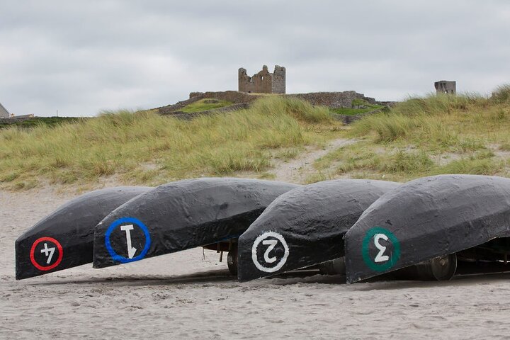 Privat kulturtur i Inisheer, Aran-øerne med frokost, heste- og fældetur
