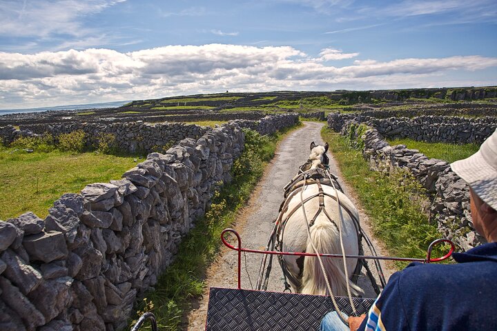 Privat kulturtur i Inisheer, Aran-øerne med frokost, heste- og fældetur