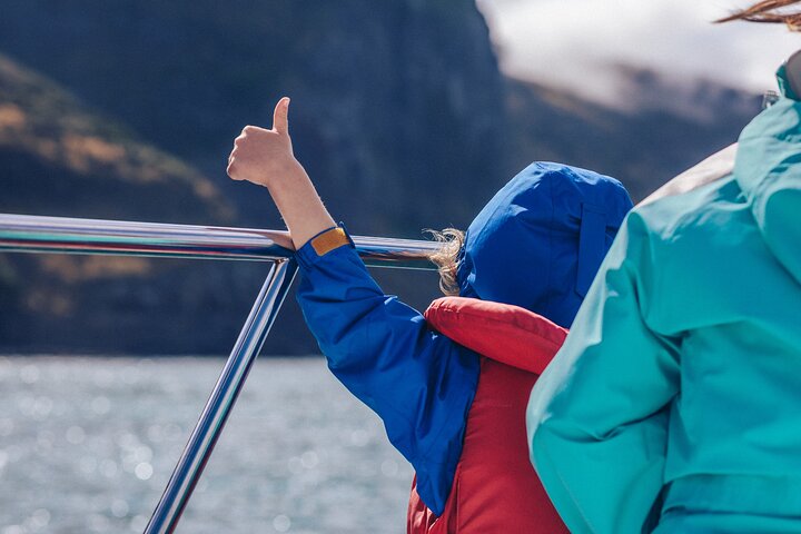 Delfines de Akaroa ~ Crucero por la naturaleza
