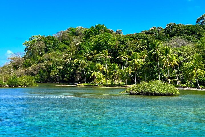 Caribbean Catamaran Day Cruise: Strande, snorkling og frokost