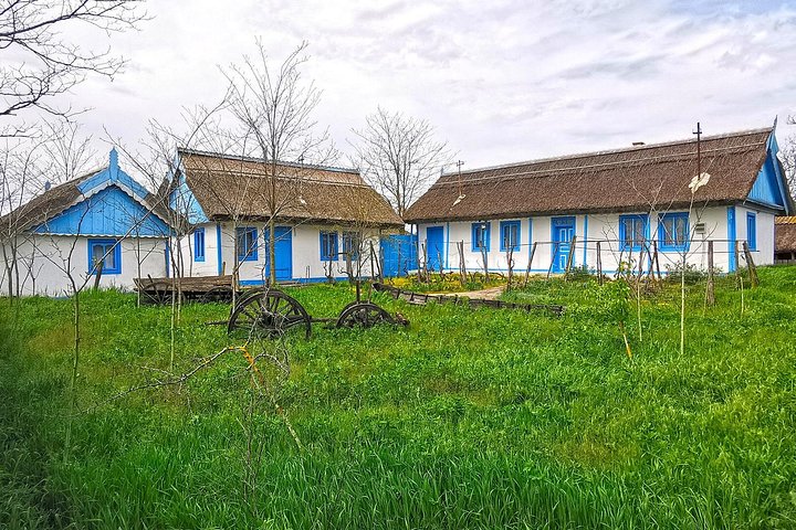 Delta del Danubio Gita in barca privata alla foresta di Letea (visita guidata)