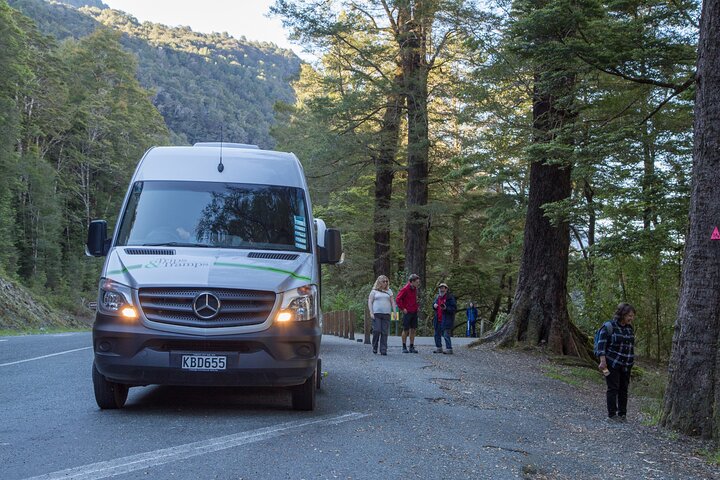 Tour di Milford Sound di un'intera giornata con crociera e passeggiate da Te Anau