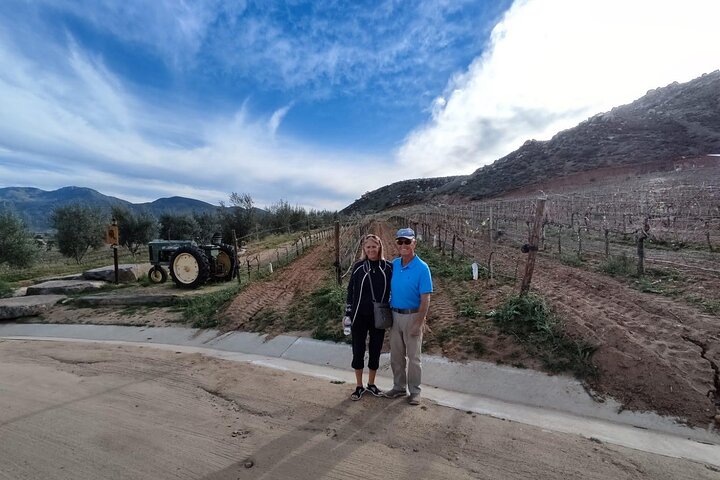 Visite gastronomique et œnologique premium de la vallée de Guadalupe