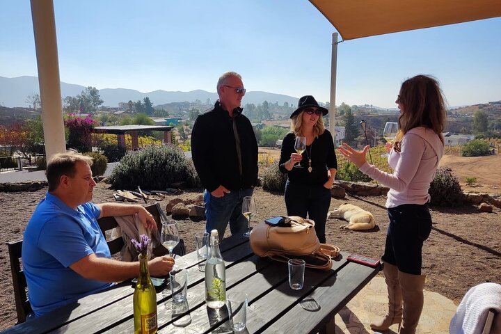 Visite gastronomique et œnologique premium de la vallée de Guadalupe