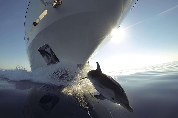 Vrsar, Lim Fjord und Rovinj Tagestour mit dem Boot mit Getränken