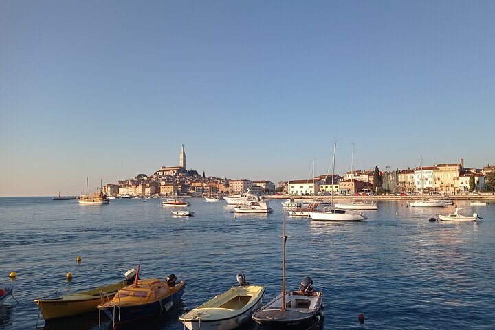 Vrsar, Lim Fjord und Rovinj Tagestour mit dem Boot mit Getränken